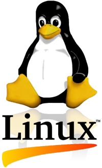 SANTIANNE - Icube 590 avec Ubuntu, Fedora, Debian, Mint ou Redhat